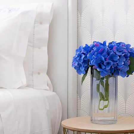 Olhos D'agua - Penthouse Apartman *